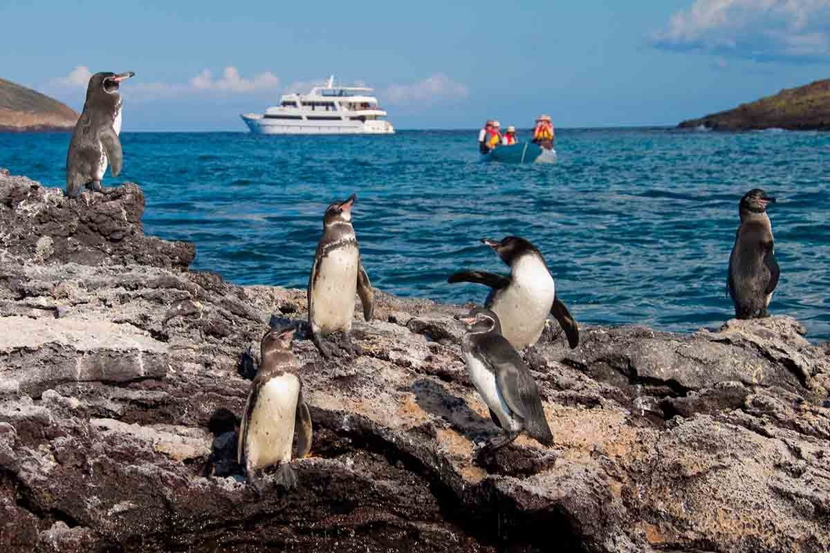 Isabela | Galapagos Islands